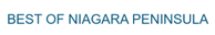 Blogger Logo